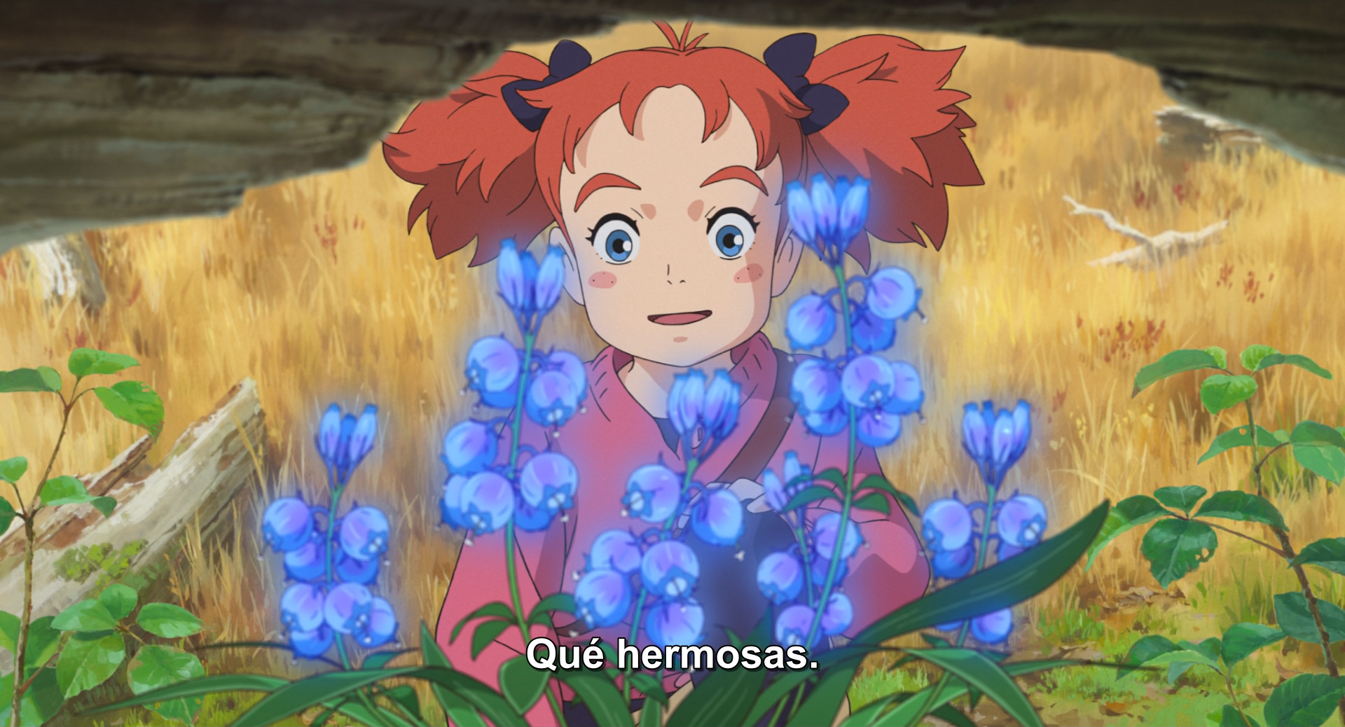 Mary to Majo no Hana (?)